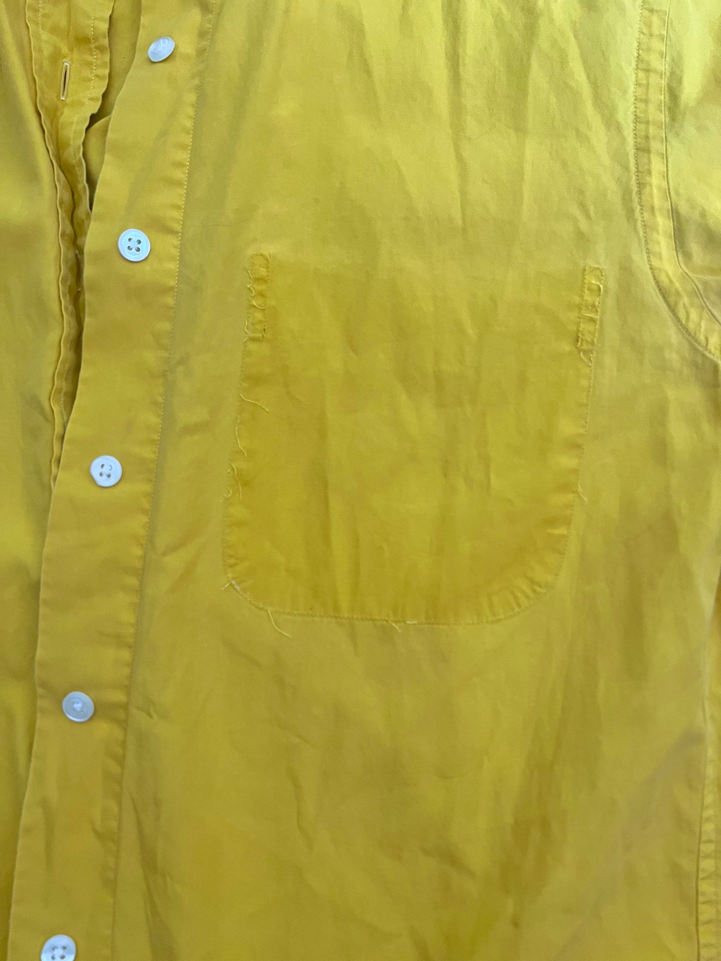 Lemon Button Down