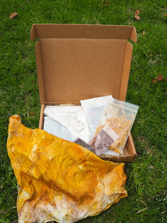 image of natural dye kit